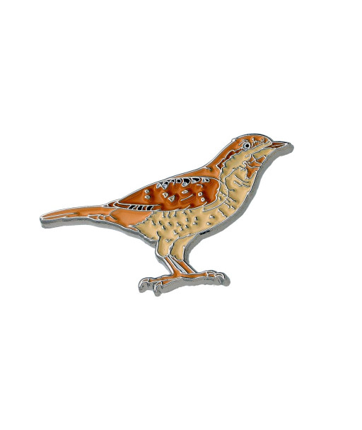 Eurasian Wryneck Enamel Pin